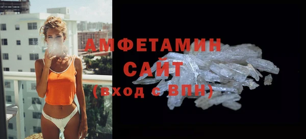 крисы Бронницы