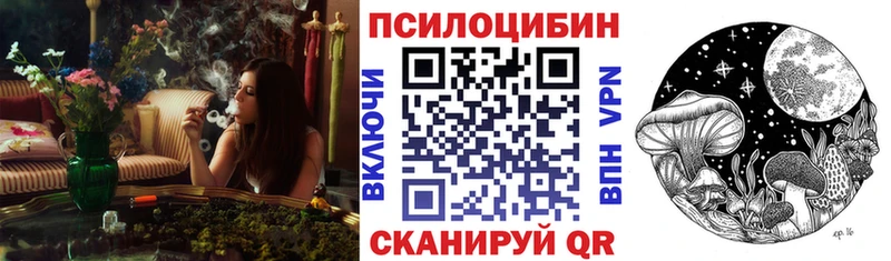 это как зайти  Абакан  Галлюциногенные грибы мухоморы 